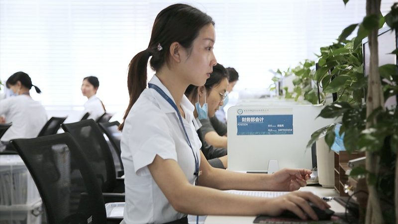 实用新型专利查询实用性评估