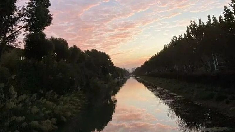 避坑指南：如何识别虚假排名